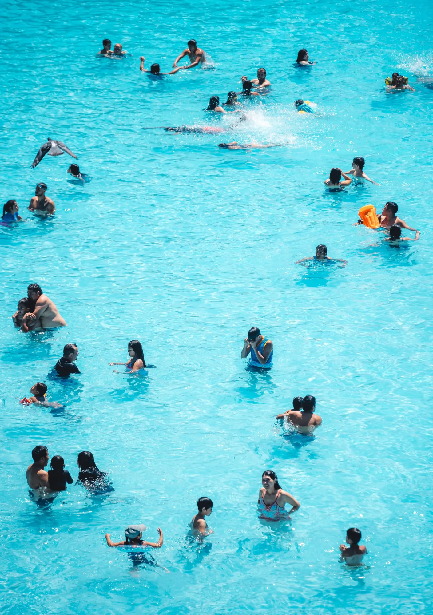 Neighbors swimming in the community pool on a sunny day